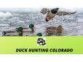 Duck Hunting Colorado PowerPoint PPT Presentation