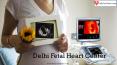 Delhi Fetal Heart Center is the leading fetal echocardiogram center in Delhi PowerPoint PPT Presentation