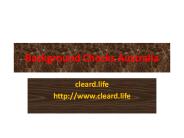 Best Employment Screening Services
