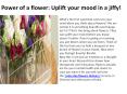 Power of a flower: Uplift your mood in a jiffy! PowerPoint PPT Presentation
