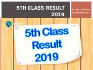 5th class result 2019 (1)