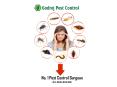 No. 1 Pest Control Gurgoan | +91-9811381458 PowerPoint PPT Presentation