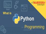 What Is Python Programming Language ?