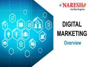 Best Digital Marketing Online Training Institute-Naresh IT