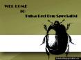 Pest Control Tulsa Service PowerPoint PPT Presentation