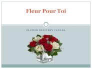 Flower Delivery Etobicoke