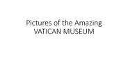 The Vatican Museum