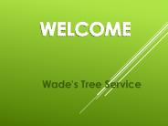 Best Arborist in Beaconsfield