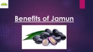 AamRus-Benefits Of Jamun