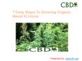 7 Easy Steps To Growing Organic Weed At Home PowerPoint PPT Presentation