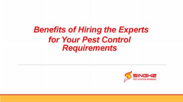 Experts for Your Pest Control Brisbane