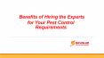 Experts for Your Pest Control Brisbane PowerPoint PPT Presentation
