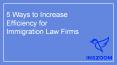 5 Ways to Increase Efficiency for Immigration Law Firms | INSZoom PowerPoint PPT Presentation