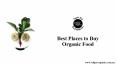 Best Places to Buy Organic Food