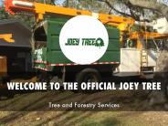 Detail Presentation About The Official Joey Tree