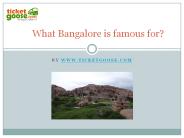 What Bangalore is famous for?