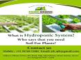 hydroponic in india- ponic greens- hydroponic shop in india PowerPoint PPT Presentation