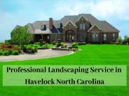 Professional Landscaping Service in Havelock North Carolina