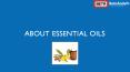 About Essential Oils PowerPoint PPT Presentation