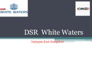 DSR White Waters -II
