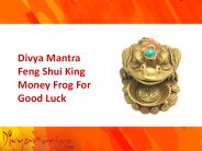 Feng Shui King Money Frog For Good Luck