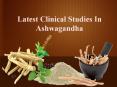 Clinical Studies In Ashwagandha PowerPoint PPT Presentation