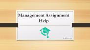 Management Assignment Help