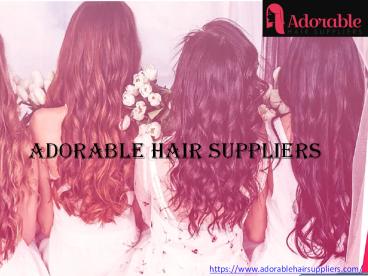 virgin hair distributors