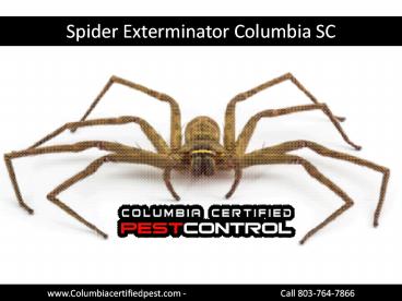 Best Spider Exterminator in Columbia SC
