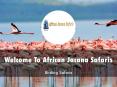 Detail Presentation About African Jacana Safaris PowerPoint PPT Presentation