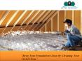 Keep Your Foundation Clean By Cleaning Your Crawl Clean PowerPoint PPT Presentation
