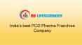 PCD Pharma Franchise Company - SB Lifesciences PowerPoint PPT Presentation