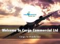 Information Presentation Of Cargo Commercial Ltd PowerPoint PPT Presentation
