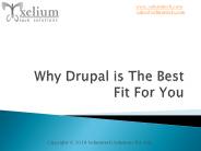 Why Drupal is Best Fit for you (1)