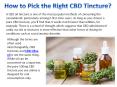How to Pick the Right CBD Tincture? PowerPoint PPT Presentation