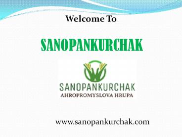 Best Quality of Chicken, Beef, and Lamb Meat.