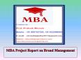 MBA Project Report on Brand Management PowerPoint PPT Presentation