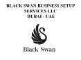 Black Swan Business Setup Service  Dubai - UAE PowerPoint PPT Presentation