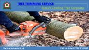 Tree Trimming Service in Essex