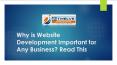 Why is Website Development Important for Any Business? Read This PowerPoint PPT Presentation