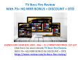 TV Boss Fire Review PowerPoint PPT Presentation