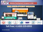 website development company in USA