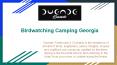 Birdwatching Camping Georgia | Duende Treehouse & Cocktails PowerPoint PPT Presentation