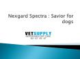 Nexgard Spectra : Savior for dogs PowerPoint PPT Presentation