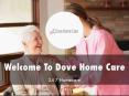 Information Presentation Of Dove Home Care PowerPoint PPT Presentation