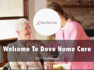 Information Presentation Of Dove Home Care