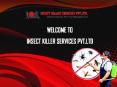 Complete Protection From Unwanted Pest - Insect Killer Services Pvt Ltd PowerPoint PPT Presentation
