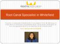 Root Canal Specialist in Whitefield PowerPoint PPT Presentation