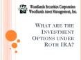 What are the Investment Options under Roth IRA? PowerPoint PPT Presentation
