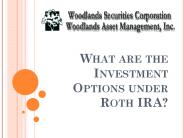 What are the Investment Options under Roth IRA?